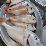 La Coffa