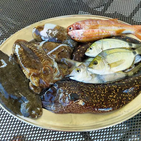 La Coffa * Agnone Cilento