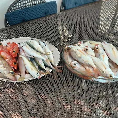 La Coffa Agnone Cilento