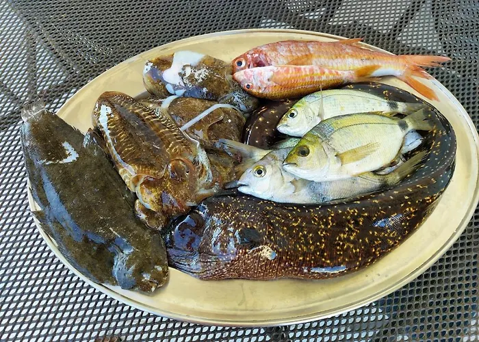 La Coffa * Agnone Cilento