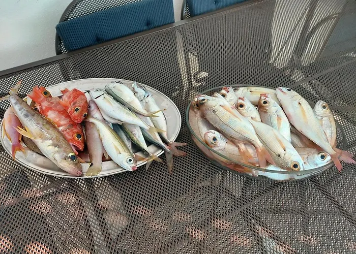 La Coffa Agnone Cilento